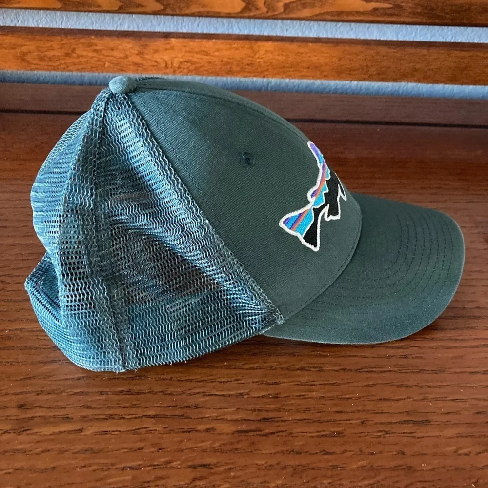 Patagonia Fitz Roy Trout Ball Cap Hat